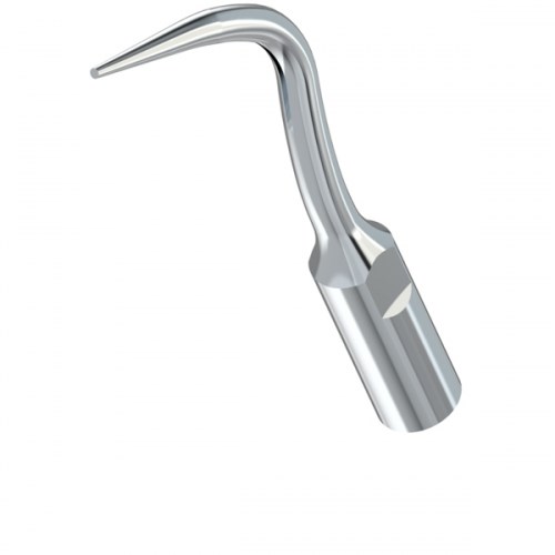 Насадка PD4 к скалеру DTE 1231916388 - фото 438355