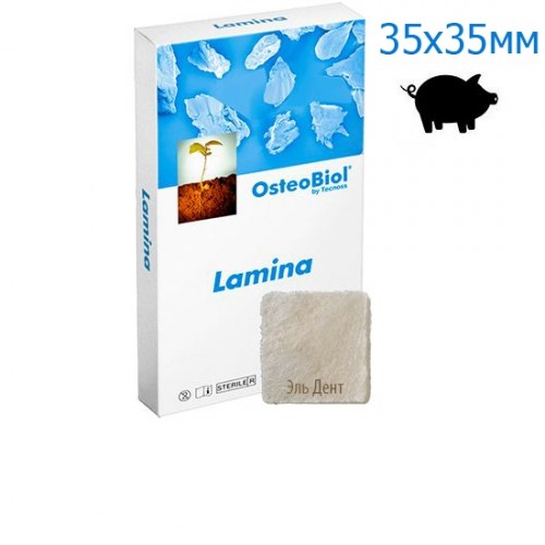 OsteoBiol Soft Cortical Lamina (свиной) 35x35х0.9мм. Мембрана кортикальная средняя изогнутая LS10HS 1231917788 - фото 445627
