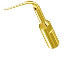 Насадка PD3T к скалеру DTE 1231916427