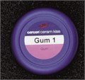 Cercon Ceram Kiss дентин Gum 2, 20 гр., арт: 5367119013 5367119013 - фото 383076