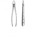 Щипцы для удаления зубов (верхние боковые резцы и клыки, корневые) 1231917247 - фото 447958
