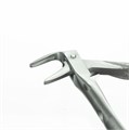 Щипцы для удаления зубов (нижние резцы, корневые) 1231917263 - фото 449713