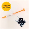 SM ENDO паста на основе гидроокиси кальция (2г), SM DMT 1231919003 - фото 450112