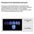 Luna-Wing Translucent CT 3 мл 1231916672 - фото 450188