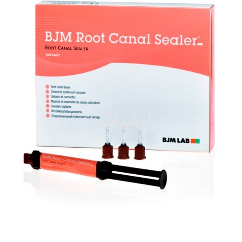 Root Canal Sealer-Антибактериальный двухкомпонентный силер, на основе эпоксидной смолы шпр.5мл, насадки, BJM (Израиль) 1231913833 - фото 321755