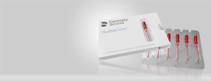 Dentsply GuttaCore - для Protaper Next x3 6 штук. A1803B0043000 - фото 344024