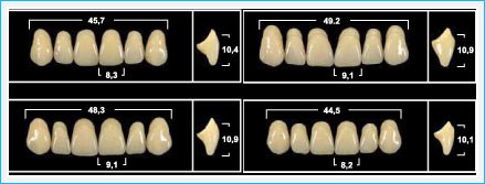 Зубы Yeti A1 SLA жевательный низ (Tribos) 8 шт. 22101 - фото 365303