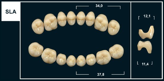 Зубы Yeti D3 SLA жевательный верх (Tribos) 8 шт. 22015 - фото 365446