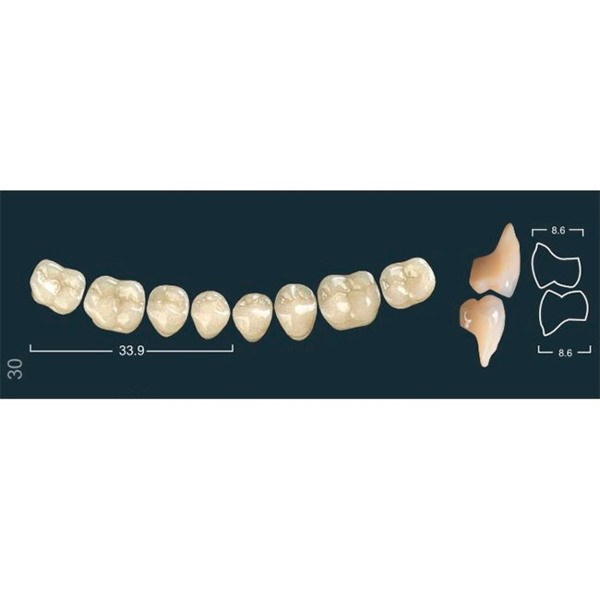 Ivocryl Set A-D - набор боковых нижних зубов, LUK30 A2, 8 шт 631005 - фото 366646