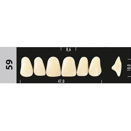 Зубы Major C4  59 фронтальный верх, 6 шт (Super Lux) st38896 - фото 367345