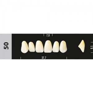 Зубы Major D3  50 фронтальный верх, 6 шт (Super Lux) st747518 - фото 367351