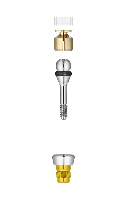 Шаровидный аттачмент FRIADENT Ball and Socket Attachment, размер D3.8/GH2, арт: 45-3142 45-3142 - фото 376479