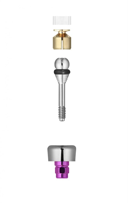 Шаровидный аттачмент FRIADENT Ball and Socket Attachment, размер D5.5/GH3, арт: 45-3163 45-3163 - фото 376658