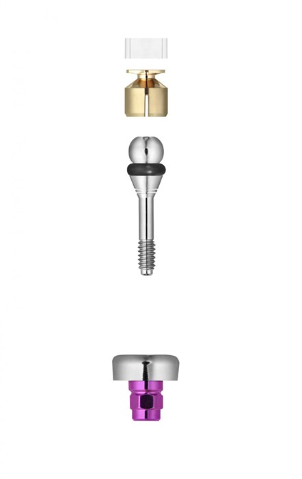 Шаровидный аттачмент FRIADENT Ball and Socket Attachment, размер D5.5/GH2, арт: 45-3162 45-3162 - фото 379430