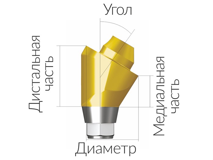 ASA55153018N  Винтовой угловой абатмент без шестигранника, диаметр 5.5 мм, Dentium (Ю.Корея) ASA55153018N - фото 385162