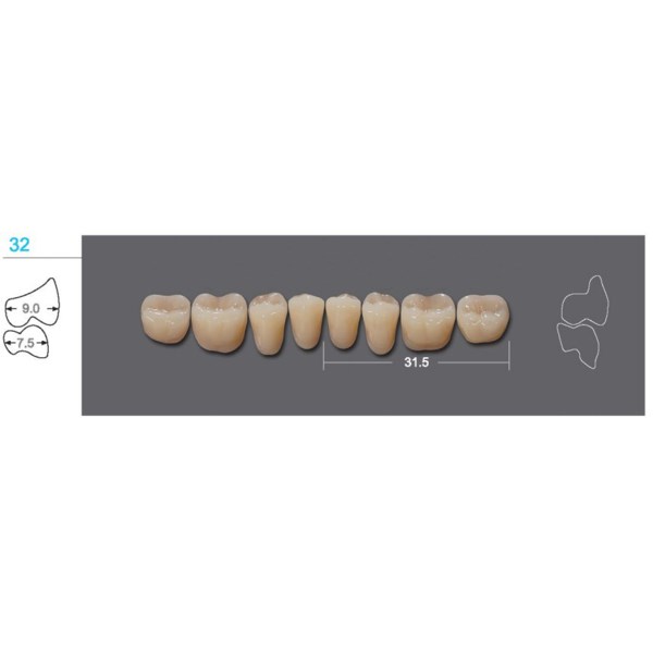 Kaili - зубы акриловые 8*1/ A2, 32L (1 планка) A232L_Kaili - фото 400020