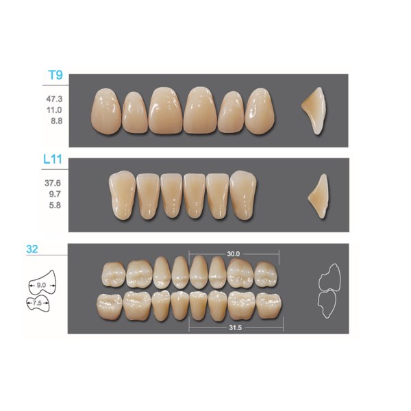 Kaifeng - зубы акриловые, верхние T9, цвет C2, коробка 4х28 шт C2T9/L11/32_Kaifeng - фото 400047