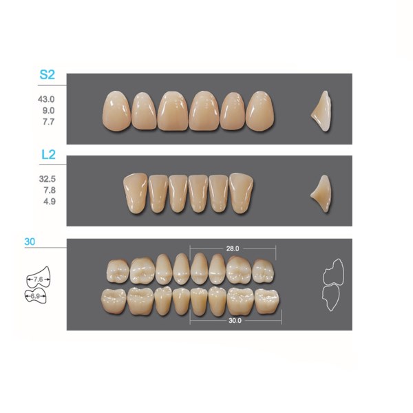 Kaifeng - зубы акриловые, верхние S2, цвет C2, коробка 4х28 шт C2S2/L2/30_Kaifeng - фото 400049
