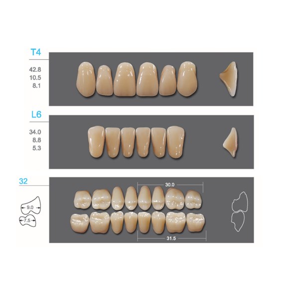 Kaifeng - зубы акриловые, верхние T4, цвет C3, коробка 4х28 шт C3T4/L6/32_Kaifeng - фото 400068