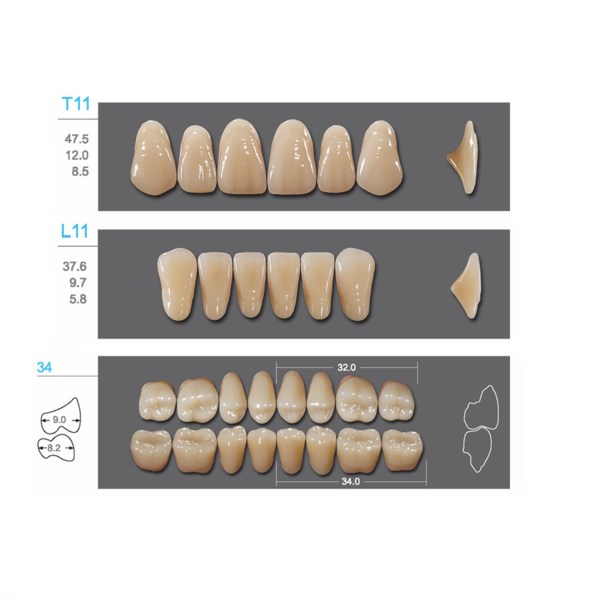 Kaifeng - зубы акриловые, верхние T11, цвет B3, коробка 4х28 шт B3T11/L11/34_Kaifeng - фото 400097