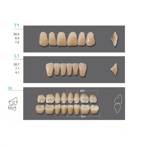 Kaifeng - зубы акриловые, верхние T1, цвет C1, коробка 4х28 шт C1T1/L1/30_Kaifeng - фото 400121