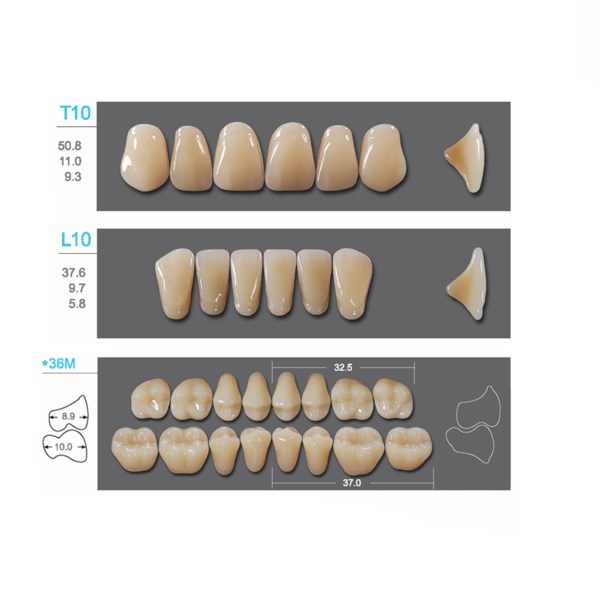Kaili - зубы акриловые, верхние T10/нижние L10, цвет D4, размер *36M, коробка 4х28 шт D4T10/L10/*36M_Kaili - фото 400130