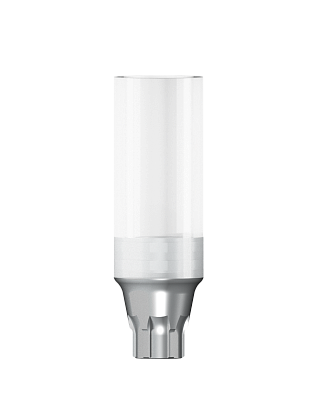 Кобальт-хромовый приливаемый абатмент антиротационный, включая винт абатмента, D 4,2 EV 720 - фото 435857