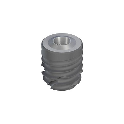 Имплантат Straumann BLC, WB Ø 6.5 мм, 8 мм, Roxolid®, SLActive® 035.9808S - фото 436564