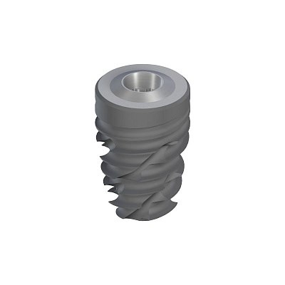Имплантат Straumann BLC, WB Ø 6.5 мм, 10 мм, Roxolid®, SLActive® 035.9810S - фото 436572