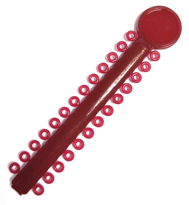 Лигатура эластичная на модуле цвет бордовый №37, 26 колец 77712 - фото 451980