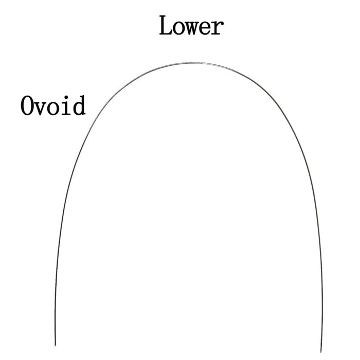 Дуга нитиноловая супер-эластичная NiTi овоидная форма 16х16 н/ч 78571 - фото 453074