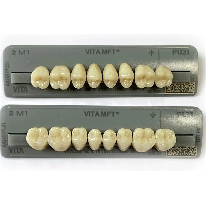 Зубы VITA  MFT Posteriores 2M1 PL31 жевательные низ (8 шт),  A42M1PL31, VITA УТ-00009044 - фото 522690