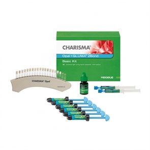 Charisma Opal Набор Basic Kit (6шпр+ Gluma Bond), Kulzer 0001916249