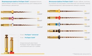 PROTAPER GOLD F1 21MM (Стерильные), 6шт.  Maillefer 1231912078