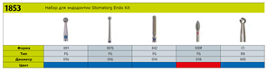 Набор боров для эндодонтии Stomatorg Endo Kit Blister 1853 (5 инструментов) в пластиковой упаковке StomatorgEndoKit(1853)