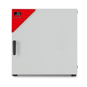 Стерилизатор Binder ED 115 (объем 114 л, естественная конвекция) ED115