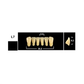 Зубы Yeti A2 L7 фронтальный низ (Tribos) 6 шт. 25202