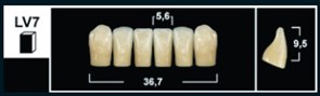 Зубы Yeti A3 LV7 фронтальная группа, нижние (Tribos) 6 шт. 27103