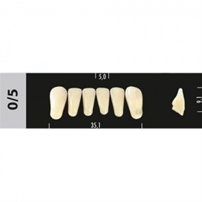 Зубы Major C1 0/5 фронтальный низ, 6 шт (Super Lux) st776328
