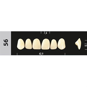 Зубы Major C2  56 фронтальный верх, 6 шт (Super Lux) st716819