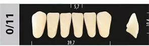 Зубы Major B1 0/11 фронтальный низ, 6 шт (Super Lux). st817486