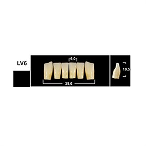 Зубы Yeti A2 LV6 фронтальный низ (Tribos) 6 шт. 25602