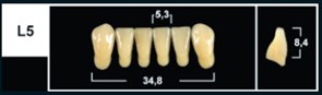 Зубы Yeti D2 L5 фронтальный низ (Tribos) 6 шт. 25114