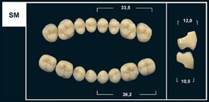 Зубы Yeti D3 SM жевательный низ (Tribos) 8 шт. 21115