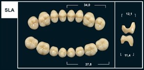 Зубы Yeti D3 SLA жевательный низ (Tribos) 8 шт. 22115