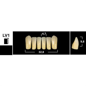 Зубы Yeti BL3 LV1 фронтальный низ (Tribos) 6шт. 25717