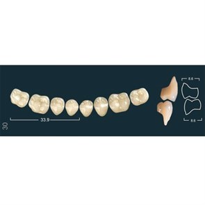 Ivocryl Set A-D - набор боковых нижних зубов, LUK30 A2, 8 шт 631005