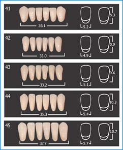 Зубы акриловые 3х слойные АНИС A2 фронт. низ  № 43, планка 6 шт. 103082