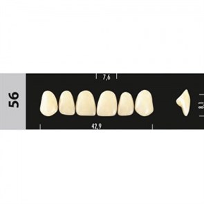 Зубы Major A3  56 фронтальный верх, 6 шт (Super Lux). st53637
