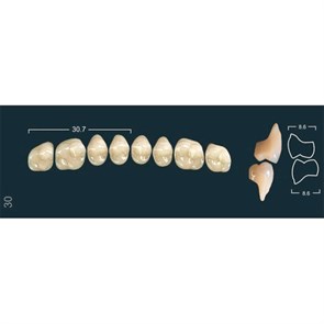 Ivocryl Set A-D - набор боковых верхних зубов, LUK30 A3.5, 8 шт 630947